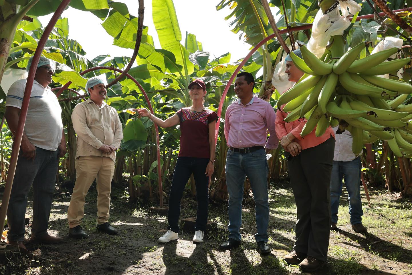 Claudia Sheinbaum de visita por Tapachula Chiapas